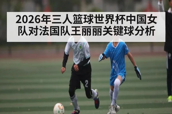2026年三人篮球世界杯中国女队对法国队王丽丽关键球分析